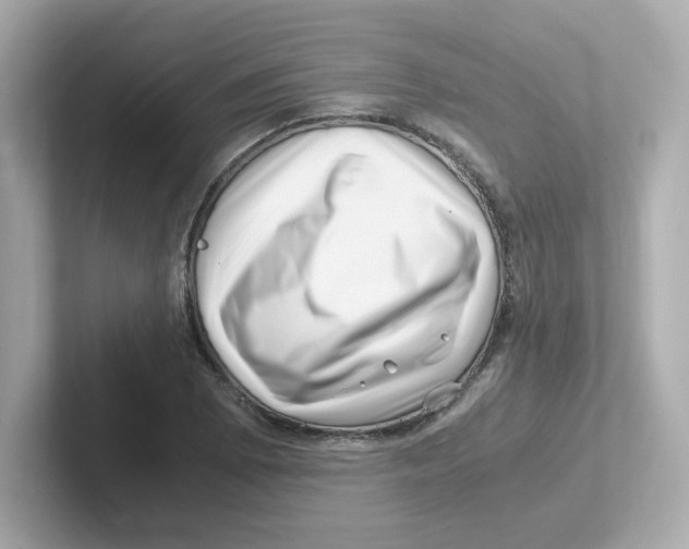 X0000101101073200807241023