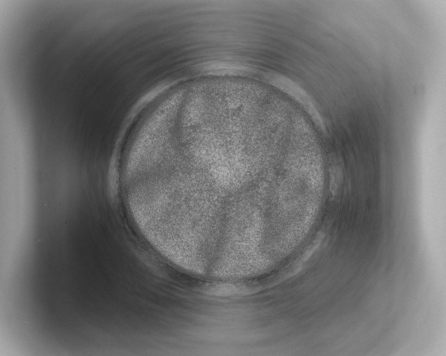 X0000101101074200807241023