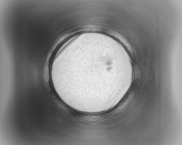X0000101101075200807241023