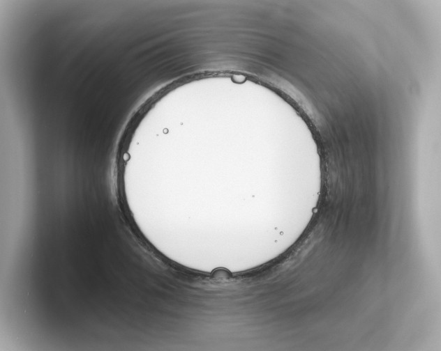X0000101101076200807241023
