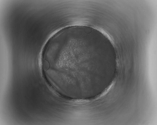 X0000101101077200807241023