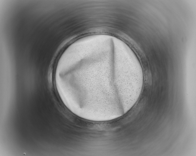 X0000101101078200807241023