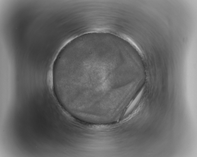 X0000101101079200807241023