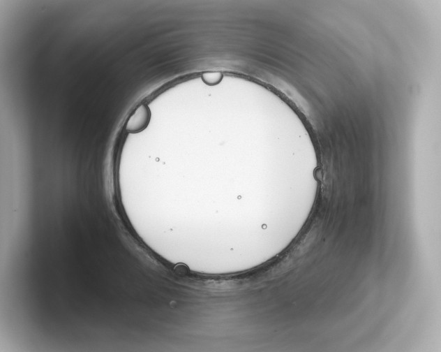 X0000101101080200807241023
