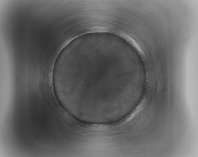 X0000101101081200807241023