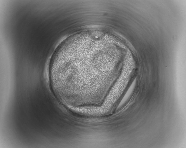 X0000101101083200807241023