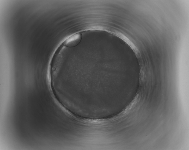 X0000101101084200807241023