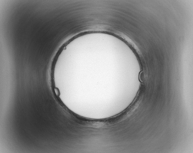 X0000101101085200807241023