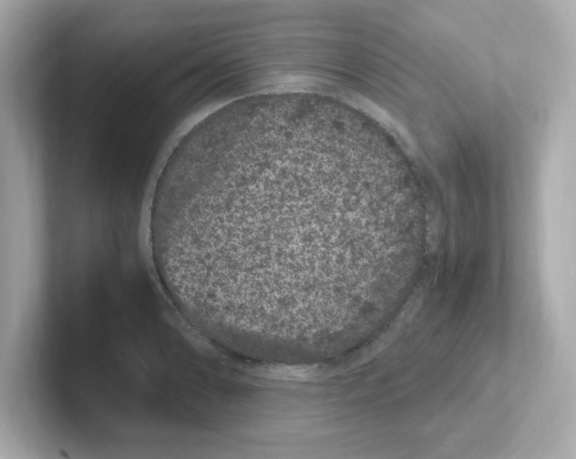 X0000101101086200807241023