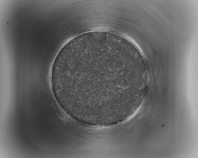 X0000101101087200807241023