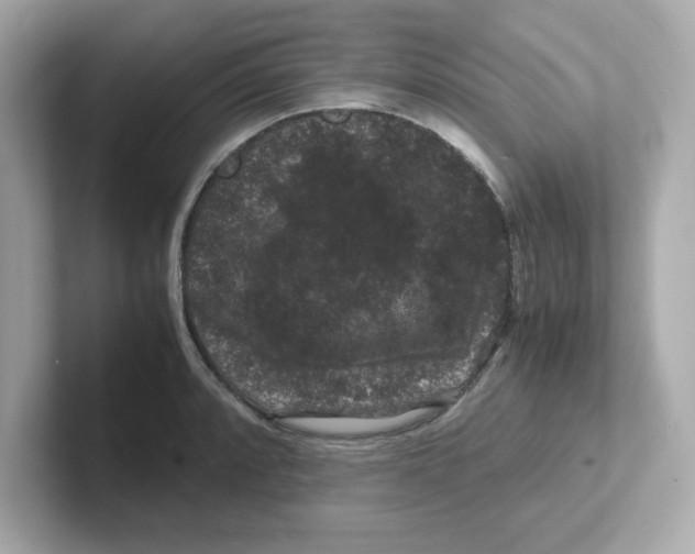 X0000101101088200807241023