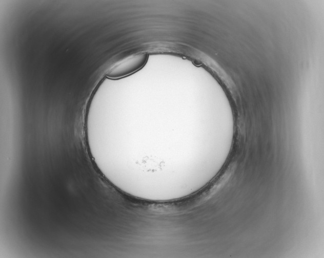 X0000101101089200807241023