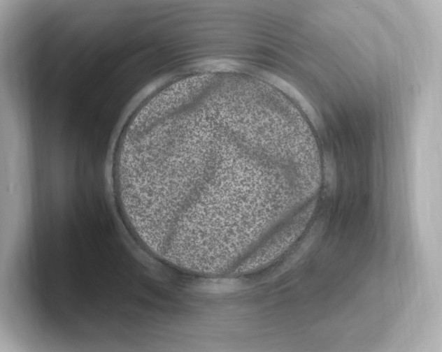 X0000101101090200807241023