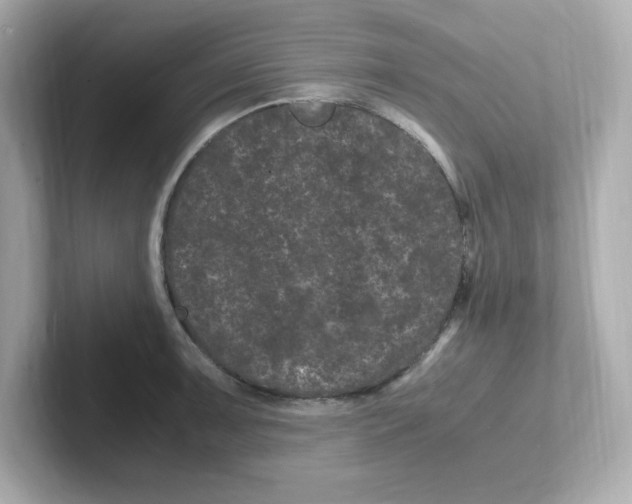 X0000101101091200807241023