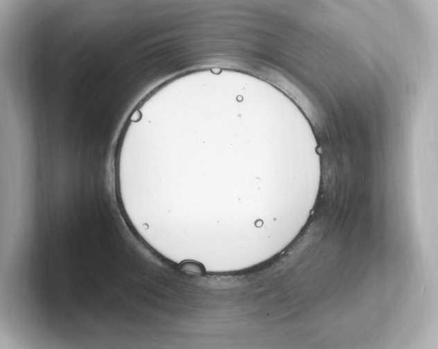 X0000101101092200807241023
