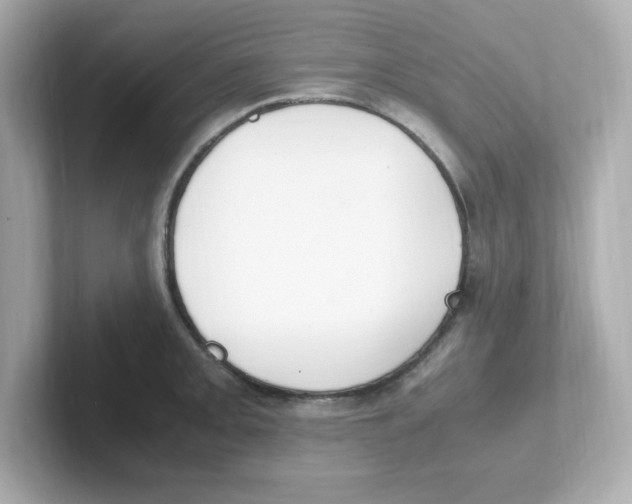 X0000101101093200807241023