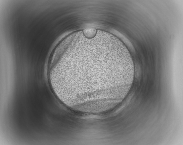 X0000101101094200807241023