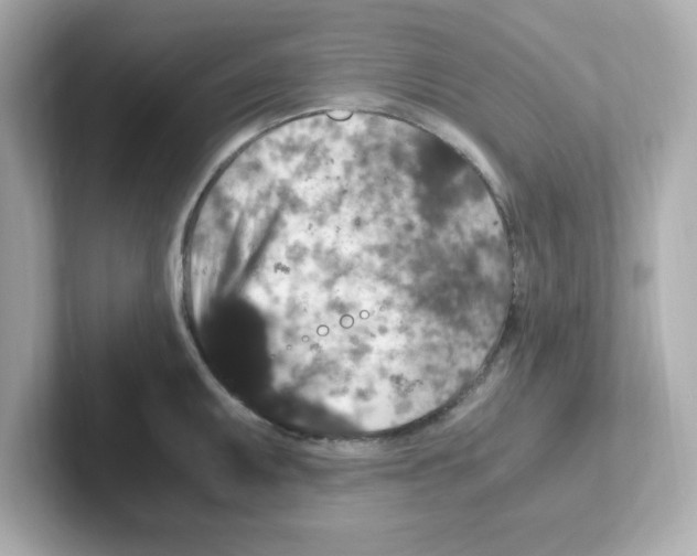 X0000101101095200807241023