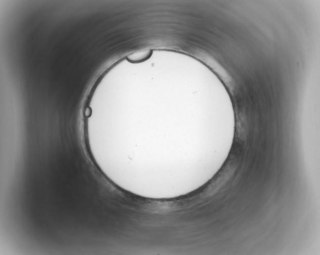 X0000101101096200807241023