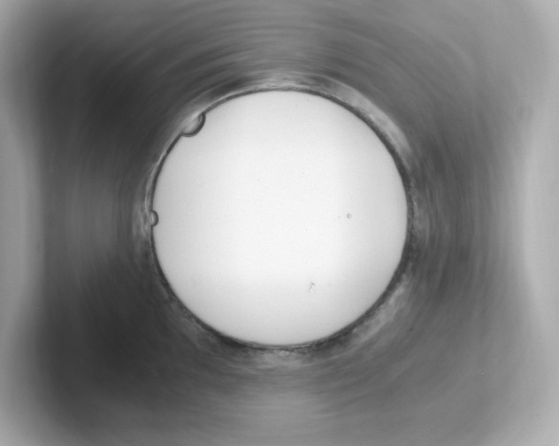 X0000101101097200807241023