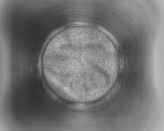 X0000101101098200807241023