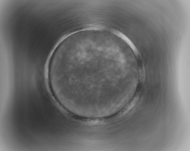X0000101101099200807241023