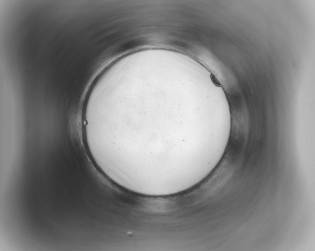 X0000101101100200807241023