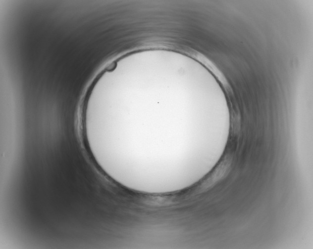 X0000101101101200807241023