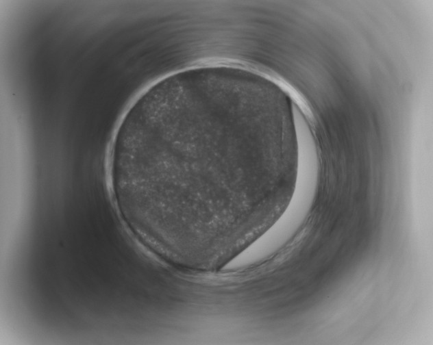 X0000101101102200807241023