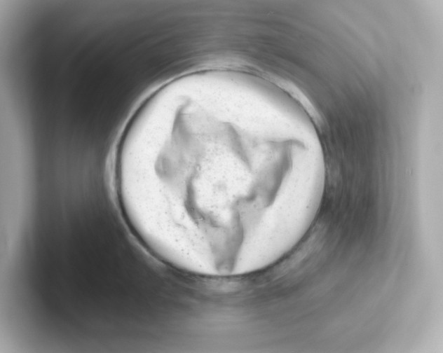 X0000101101103200807241023