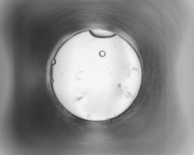 X0000101101104200807241023