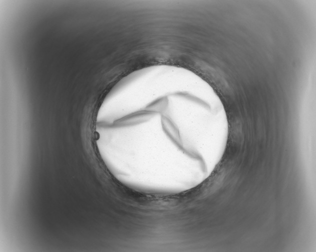 X0000101101105200807241022