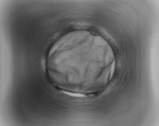 X0000101101108200807241022