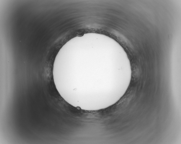 X0000101101110200807241022