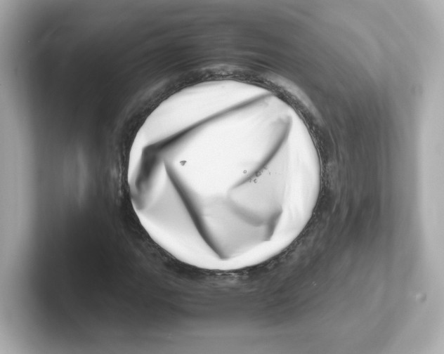 X0000101101111200807241022