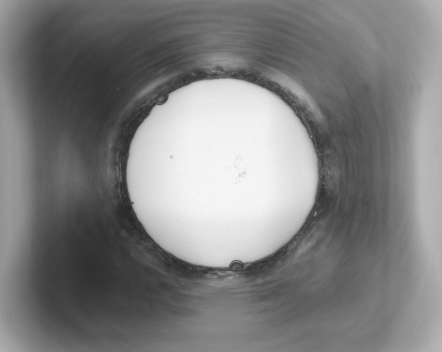 X0000101101112200807241022