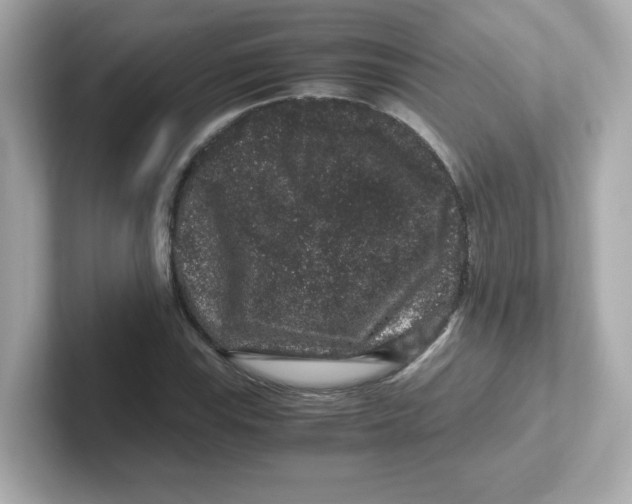 X0000101101115200807241022