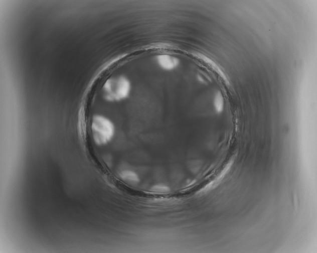 X0000101101117200807241022