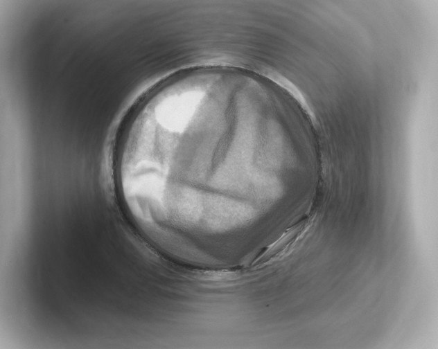 X0000101101120200807241022