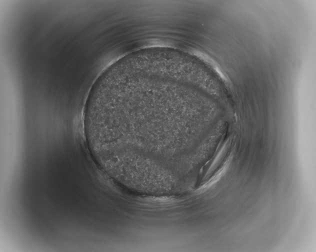 X0000101101121200807241022