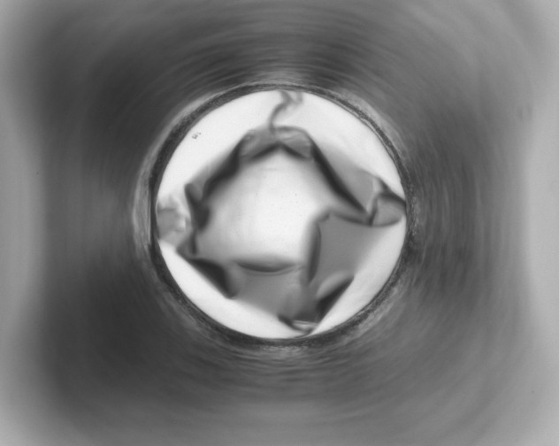 X0000101101123200807241022
