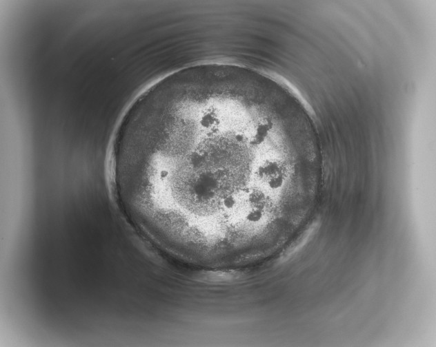 X0000101101125200807241022