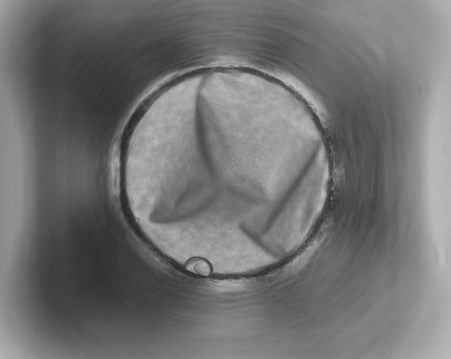 X0000101101126200807241022