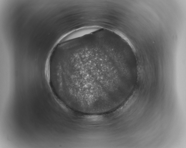 X0000101101127200807241022