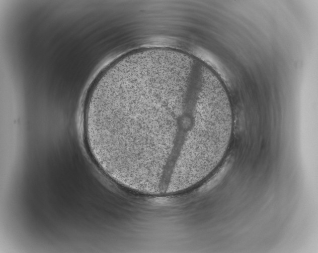 X0000101101130200807241022