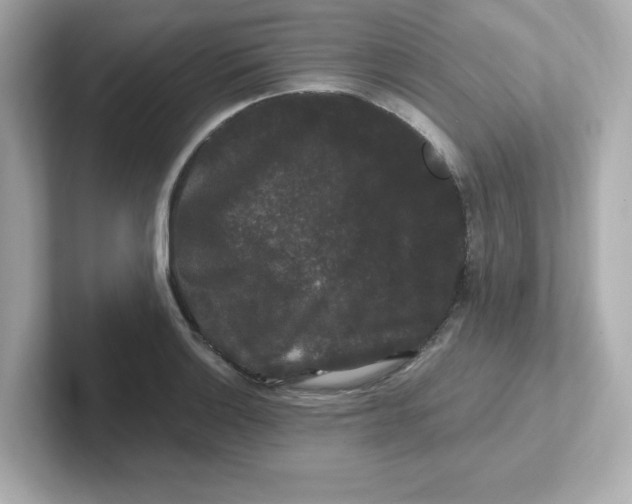 X0000101101132200807241022