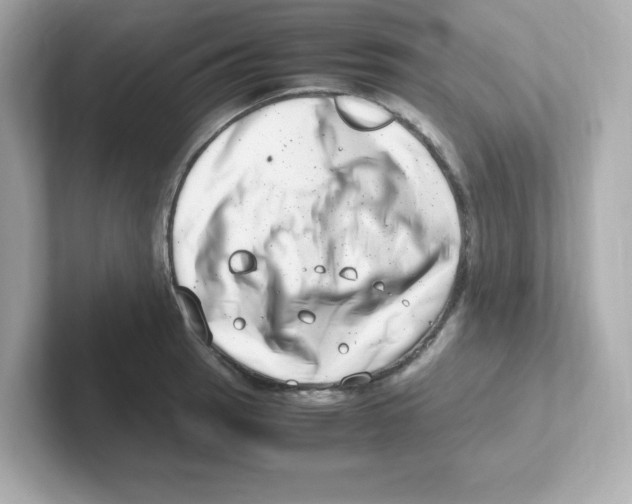 X0000101101137200807241023