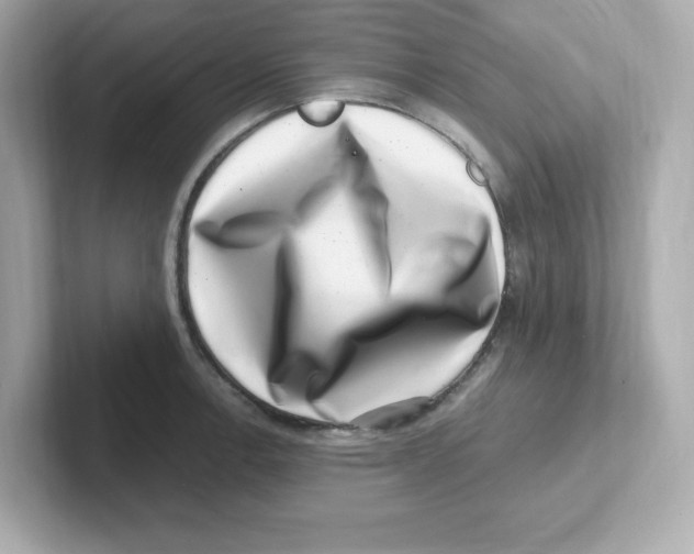 X0000101101138200807241023