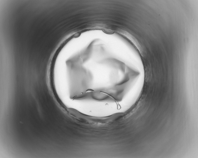 X0000101101139200807241023