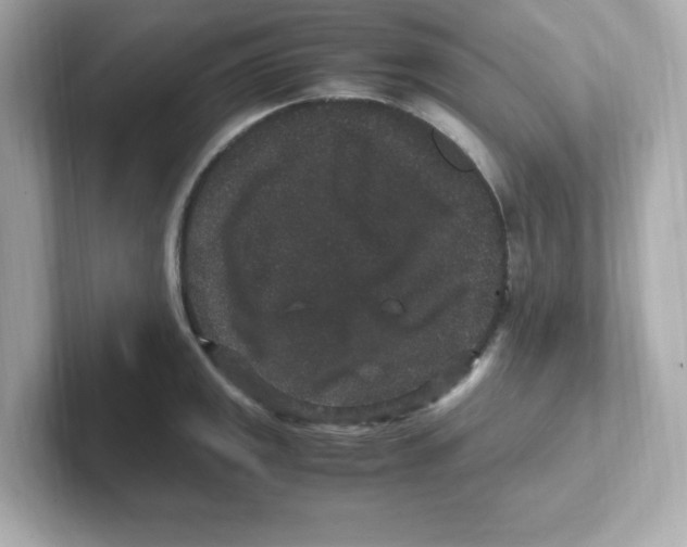 X0000101101141200807241023